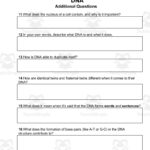 Science Reading Comprehension Passage 21: Dna Pdf Inside Dna Reading Comprehension Worksheet
