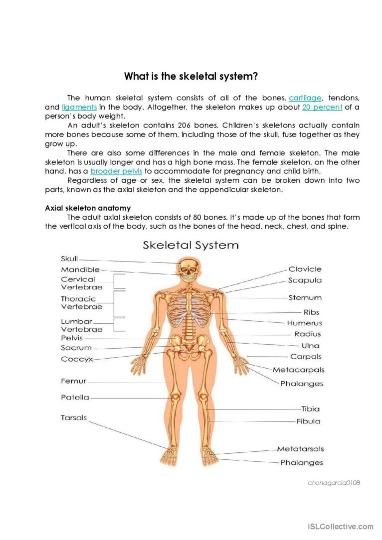 Skeletal System: English Esl Worksheets Pdf &amp;amp; Doc pertaining to Human Anatomy Reading Comprehension Worksheets