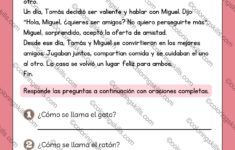 Spanish Reading Comprehension Passages For 1St To 5Th Grade | Pdf pertaining to 3Rd Grade Spanish Reading Comprehension Worksheets