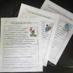 Spanish Reading Passages With Spanish Reading Comprehension Worksheets Free