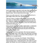 Surf Conditions Reading Comprehension   Esl Worksheetsoulofsurf For Reading Comprehension On Waves Worksheets