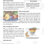 Tectonic Plates   Digital Science Reading Article   Grades 5 7 With Regard To Plate Boundaries Reading Comprehension Worksheet