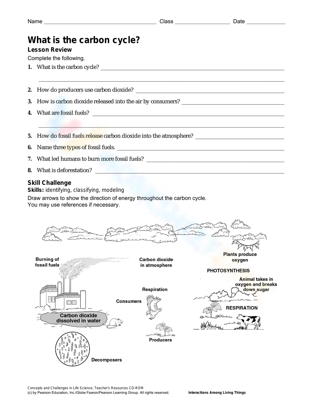 The Carbon Cycle Worksheets inside Carbon Cycle Reading Comprehension Worksheet