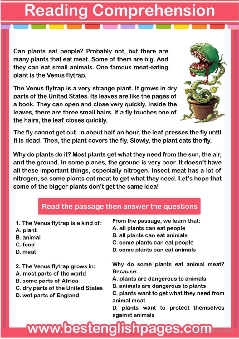 The Flytrap: Reading Comprehension: English Esl Worksheets Pdf &amp;amp; Doc with Wh Questions Reading Comprehension Worksheet