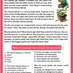 The Flytrap: Reading Comprehension: English Esl Worksheets Pdf & Doc Within Insect Reading Comprehension Worksheets