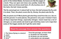 The Flytrap: Reading Comprehension: English Esl Worksheets Pdf &amp; Doc within Insect Reading Comprehension Worksheets