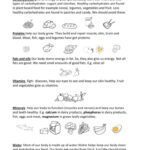 The Food Pyramid And Nutrients: English Esl Worksheets Pdf & Doc Intended For Healthy Food Pyramid Reading Comprehension Worksheets