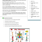 The Human Body Package General Readi…: English Esl Worksheets Pdf With Human Body Systems Reading Comprehension Worksheets