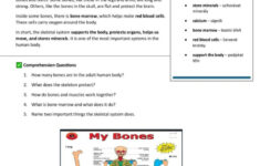 The Human Body Package General Readi…: English Esl Worksheets Pdf with Human Body Systems Reading Comprehension Worksheets
