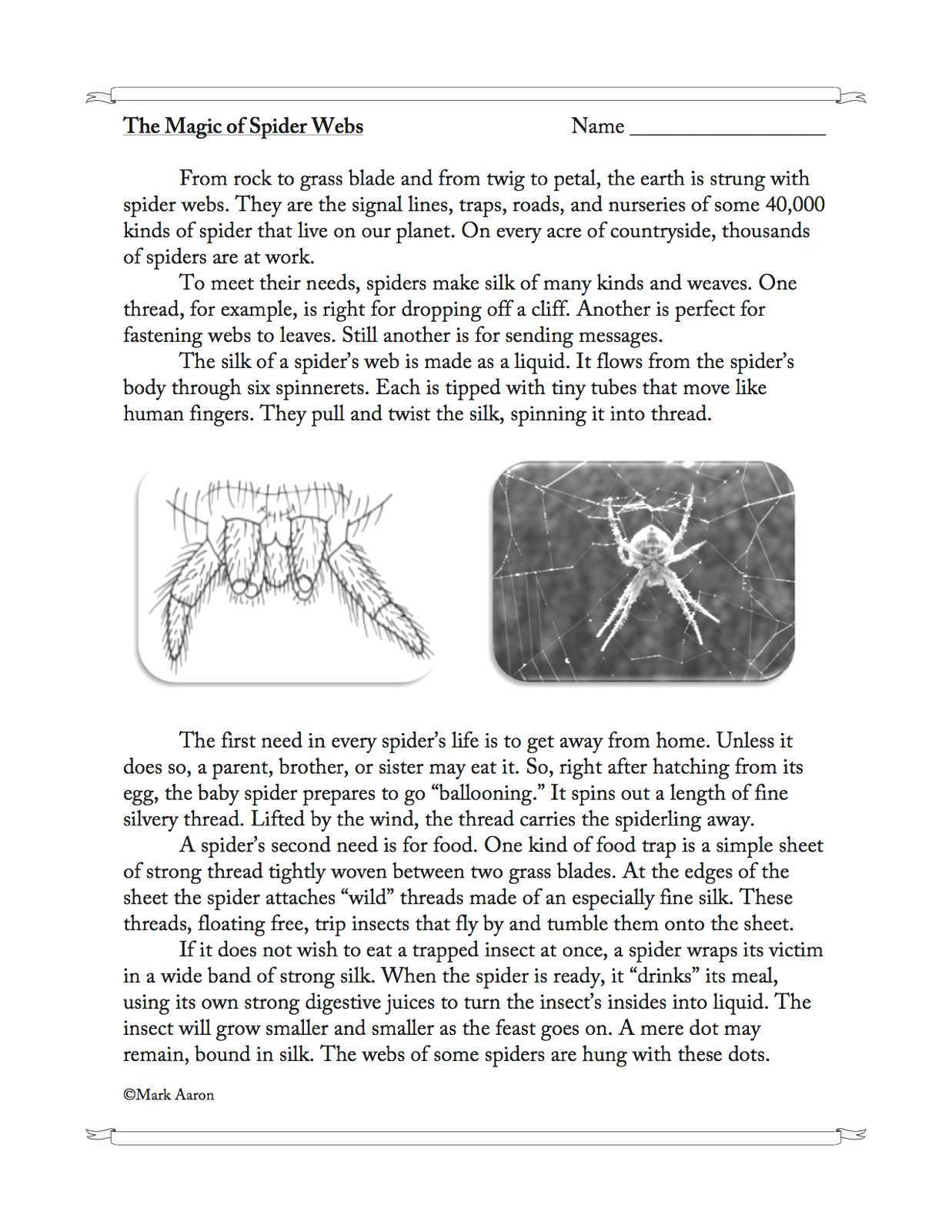 The Magic Of Spider Webs- Reading Comprehension Passage And intended for Spiders Reading Comprehension Worksheets Year 3
