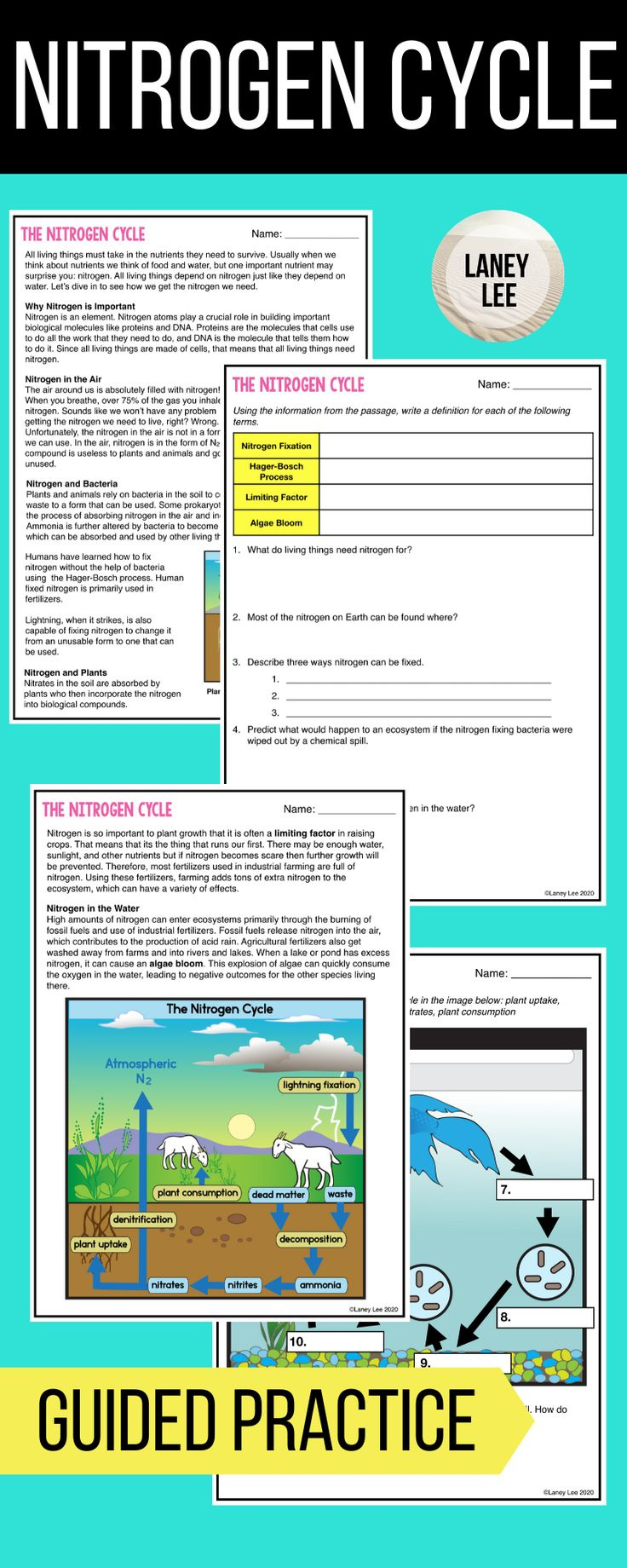 The Nitrogen Cycle - Guided Practice - Print &amp;amp; Google Versions regarding Nitrogen Cycle Reading Comprehension Worksheet