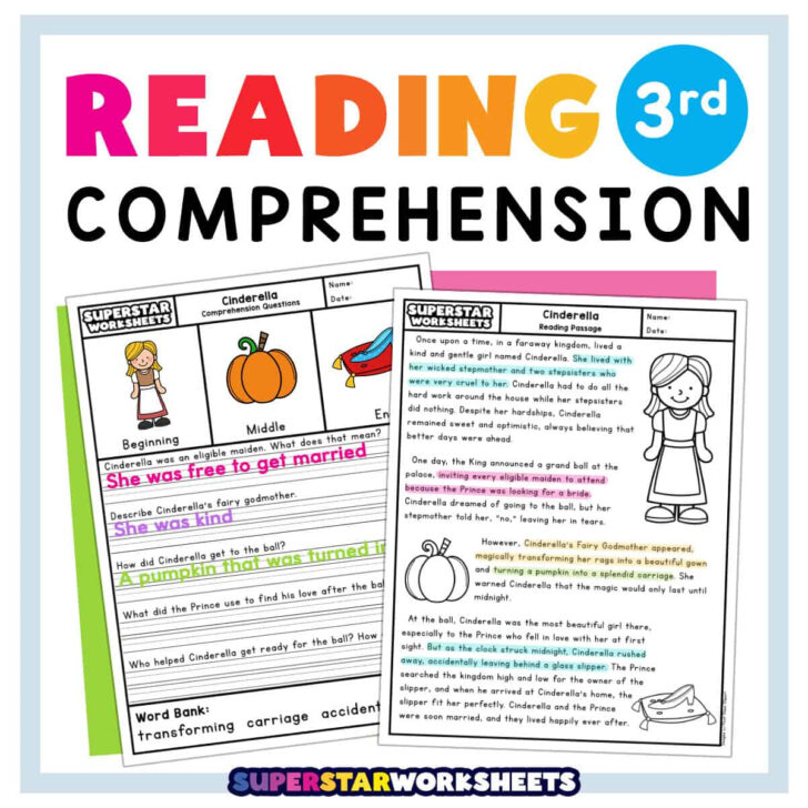 Reading Comprehension Worksheet For Grade 3 Learners