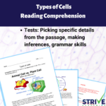 Types Of Cells English Reading Comprehension Worksheet   Classful With Regard To Cell Reading Comprehension Worksheets