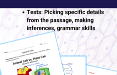 Types Of Cells English Reading Comprehension Worksheet - Classful with regard to Cell Reading Comprehension Worksheets