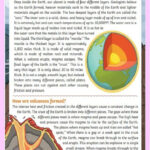 Volcanoes Reading Comprehension Worksheet With Regard To Volcanoes Reading Comprehension Worksheet
