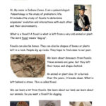 What Is A Fossil? Reading For Detail…: English Esl Worksheets Pdf Inside Dinosaurs And Fossils Reading Comprehension Worksheets