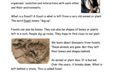 What Is A Fossil? Reading For Detail…: English Esl Worksheets Pdf within Fossil Reading Comprehension Worksheets For Kids