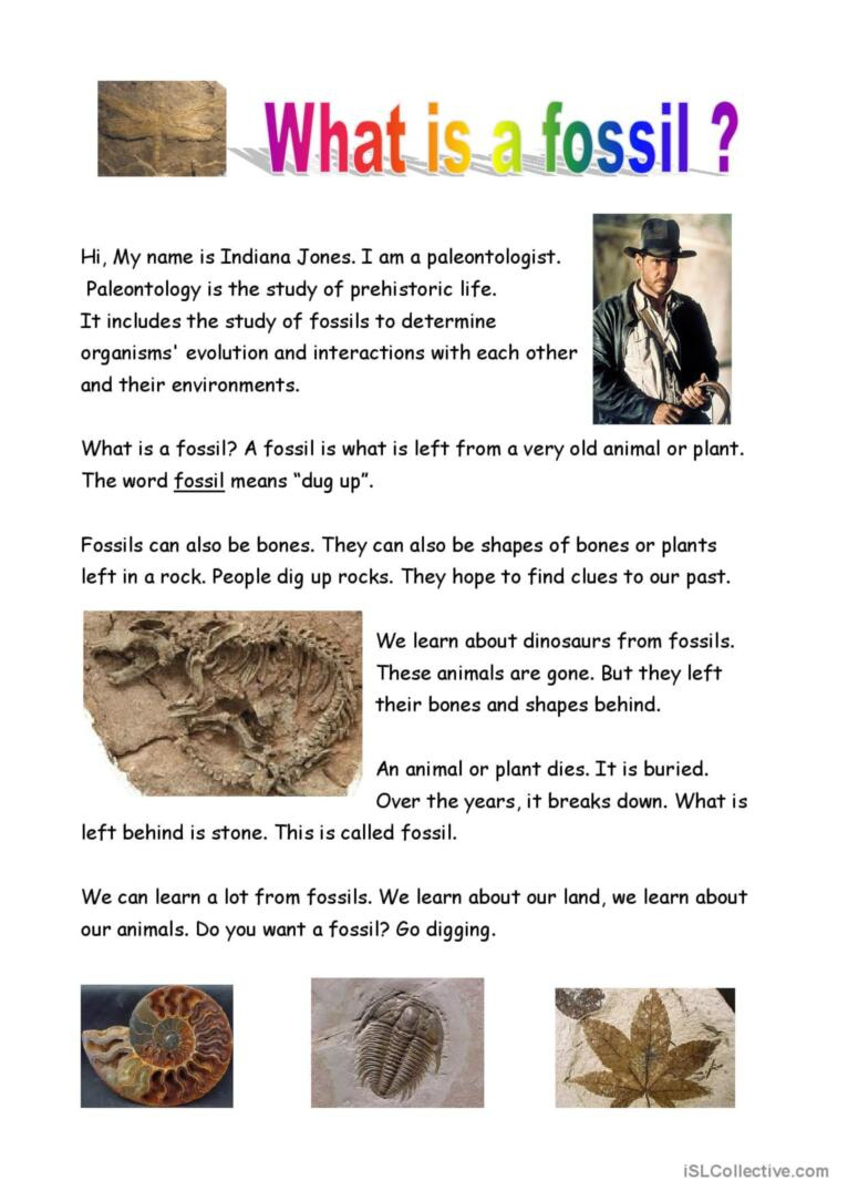 What Is A Fossil? Reading For Detail…: English Esl Worksheets Pdf within Fossil Reading Comprehension Worksheets