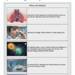 What Is Air Pollution? Reading Passage Regarding Air Pollution Reading Comprehension Worksheet