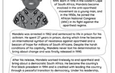 Who Is Nelson Mandela? - Free Worksheet For Kids - Skoolgo for Nelson Mandela Reading Comprehension Worksheets