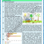 Why Does Biodiversity Matter To Us ? Reading + Comprehension Within Biodiversity Reading Comprehension Worksheet Answer Key