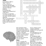 Worksheet On Endocrine And Nervous System Crossword   Wordmint With Regard To Endocrine System Reading Comprehension Worksheet