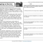Worksheets On Adaptation Form ≡ Fill Out Printable Pdf Forms Online Intended For Cross Curricular Reading Comprehension Worksheets C 10 Of 36